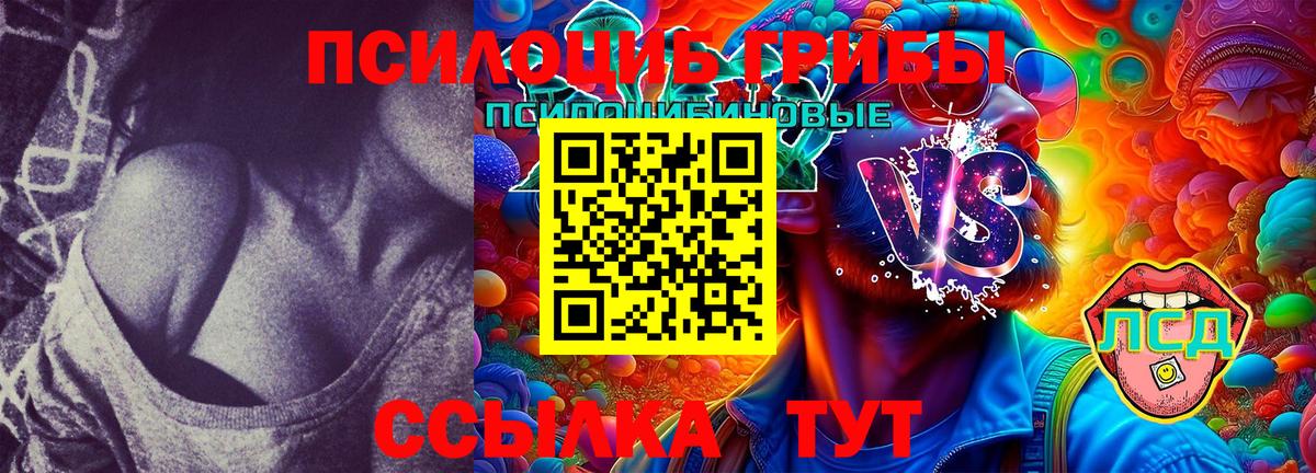 Псилоцибиновые грибы Psilocybine cubensis Сегежа