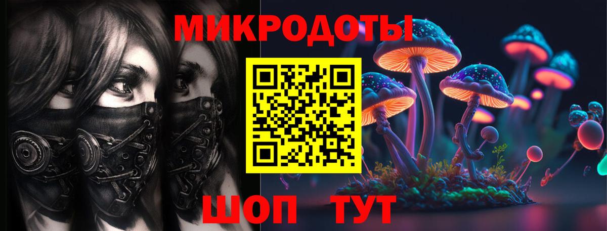 Сегежа  Галлюциногенные грибы Psilocybine cubensis  Вход с VPN  Галлюциногенные грибы Psilocybine cubensis 